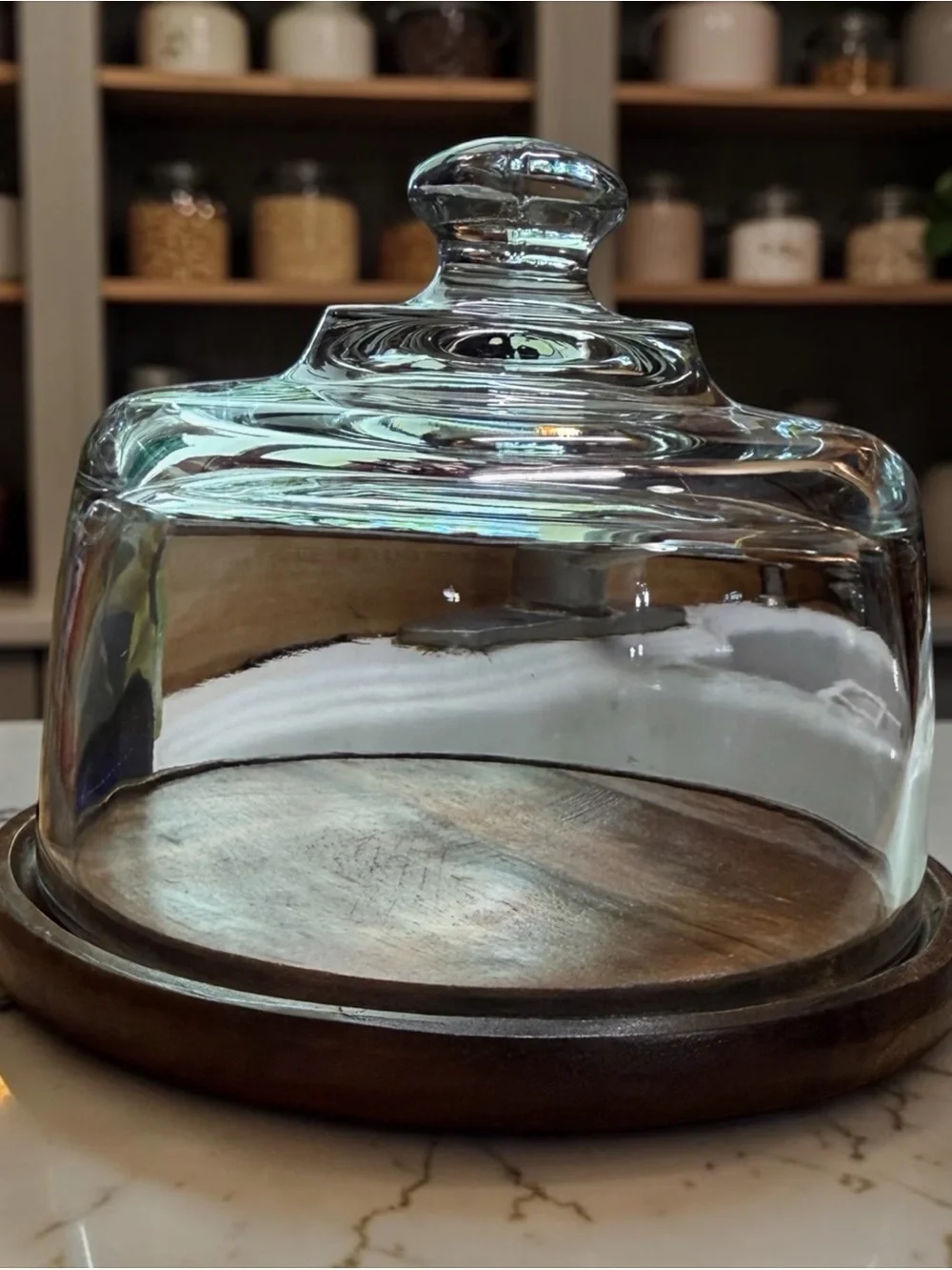 CURATED Glass Cloche with Wooden Base